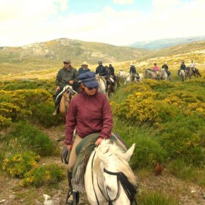 Paseos a caballo con Gredos Ecuestre en Arenas de San Pedro