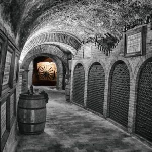 Bodegas Mocen en Rueda en la provincia de Valladolid