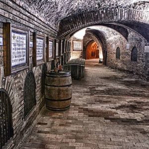 Interior de Bodegas Mocen en Rueda