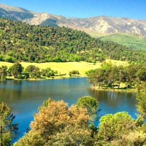 El Río Alberche a su paso por Navaluenga 