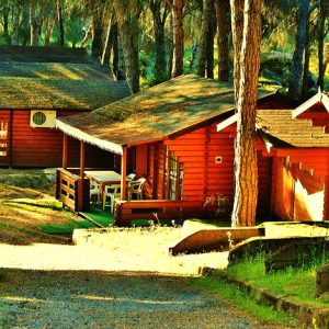 Bungalows del Camping la Ardilla Roja en San Martín de Valdeiglesias en Madrid