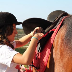 Clases de equitación con Equus Boria en San Vicente de la Barquera en Cantabria