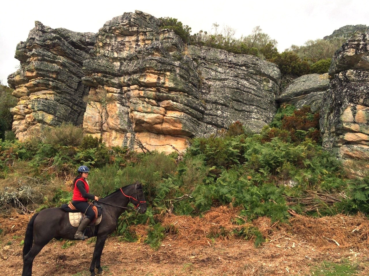 Ruta con Equus Boria en la Sierra de Boria en San Vicente de la Barquera en Cantabria