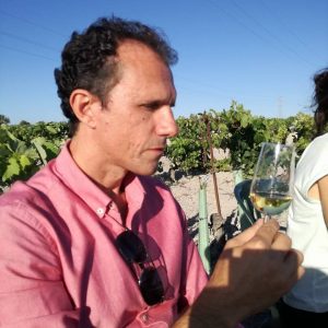 Visita guiada en Viñedo con Abydos Cultura en Cádiz