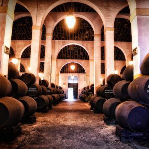 Botas centenarias en Bodegas Fundador en Jerez