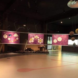 Sala del Jardín Micológico La Trufa en Priego de Córdoba en Córdoba