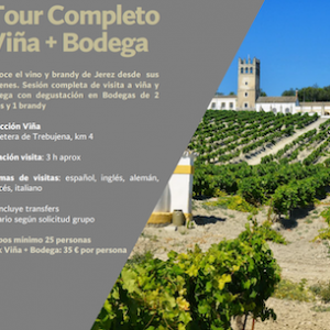 Tour Completo Bodegas Fundador en Jerez de la Frontera