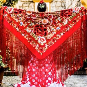 Tablao Flamenco en Jerez de La Frontera