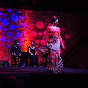 Actuación de bailadora famosa de flamenco con puro arte flamenco jerez en jerez