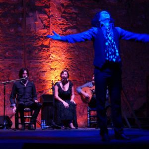 Bailaor de flamenco en el escenario de puro arte flamenco jerez en jerez de la frontera en la provincia de Cádiz