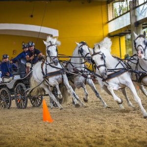 Exhibición de carruajes con Yeguada Cartuja en Jerez