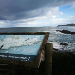 Panel desde el Centro de Interpretación de Oyambre en Cantabria