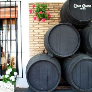 Barriles de vino en Bodegas Cruz Conde en Montilla en Córdoba