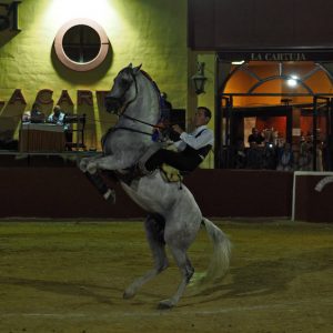 Jinete haciendo una exhibición con un caballo en andalucia