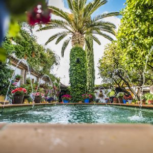 Palmera con piscina en el Patio con Duende en Rute en la provincia de Córdoba