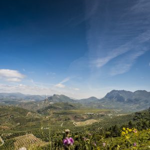 Vista de la Sierra de Rute en Córdoba