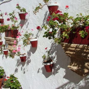 Tiestos colgados en Cabra en Cabra en la provincia de Córdoba