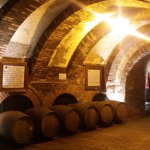 Placas en Bodegas Mocén en Rueda en Valladolid