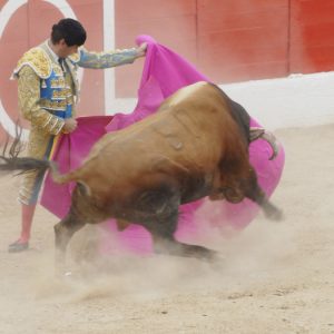 Torero toreando en una plaza de toros