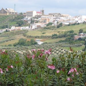 Vista de Montilla en la provincia de Córdoba