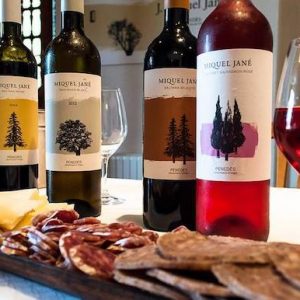 Aperitivo en Bodega Miquel Jane en la localidad de Font-Rubi en Cataluña
