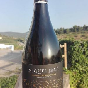 Botella de vino de Miquel Jané en la comarca del Alto Penedés
