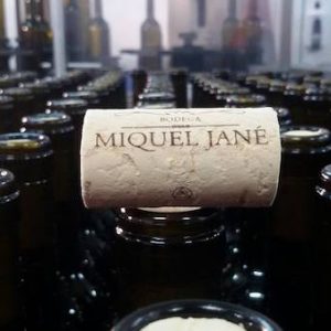 Botellas de vino de la bodega Miquel Jane en el Penedés