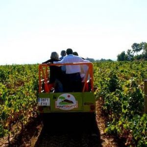 Vehículo 4x4 en la finca de la bodega Miquel Jané en el Alto Penedés