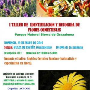 Taller floral en Grazalema