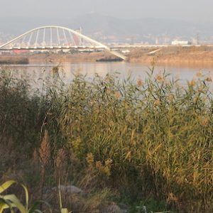 Vista del Delta del LLobregat en Cataluña