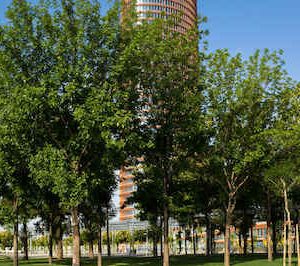 Vista del parque Magallanes en Sevilla