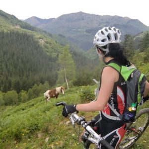 Ciclista recorriendo una ruta en el País Vasco