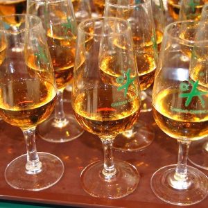 Cata de vinos en la DO Montilla Moriles en la provincia de Córdoba
