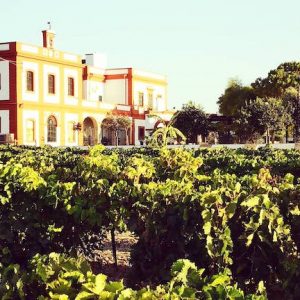 Casa de viña en el Puerto de Santa María en la provincia de Cádiz