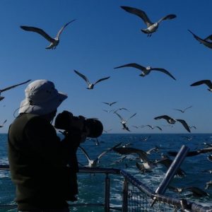 Fotógrafo haciendo fotos a aves desde la embarcación Chipiona en Cádiz