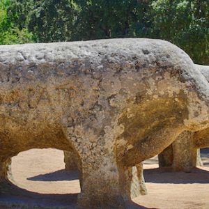 Imagen de perfil de los toros de Guisando