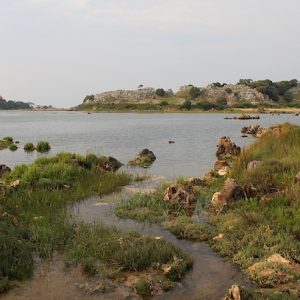 Vistas del Parque Natural de las Marismas de Santoña en Cantabria