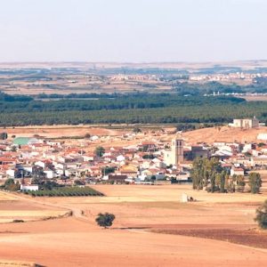 Vista a lo lejos de Nava de Roa en la Ribera del Duero Burgalesa