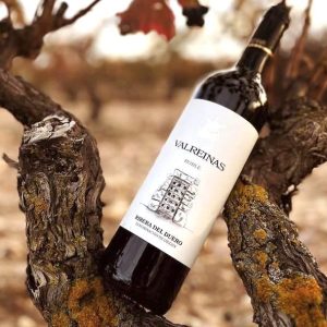 Botella de roble de bodegas Valreinas en Nava de Roa