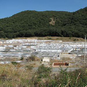 Vista de producción de sal tradicional en Tierras de Iranzu
