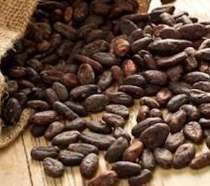 Imagen de fotos de cacao