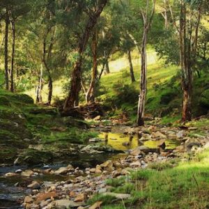 Ruta en los Montes Comunales en Adamuz