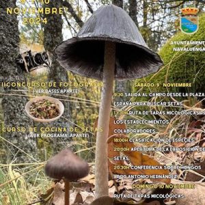 Cartel del ayuntamiento de Navaluenga