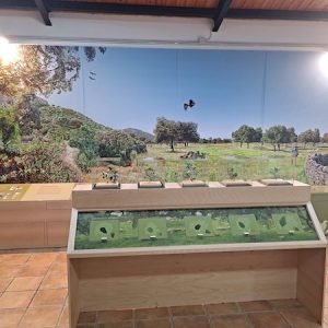 Interior del centro de visitantes Venta Nueva en Cardeña