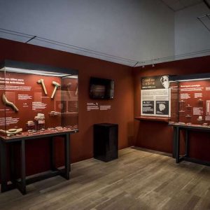 Sala de la Edad del Cobre en el museo histórico de Carcabuey en la provincia de Córdoba