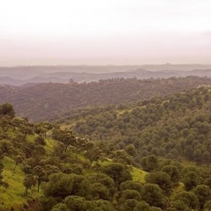 Vista del Parque Natural Sierra de Cardeña y Montoro en la provincia de Córdoba