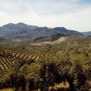 Vistas desde el monte Calvario en Carcabuey en la provincia de Córdoba