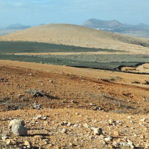 Vista de la vega en Lanzarote