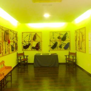 Gaitas en el museo de Mucientes en la provincia de Valladolid