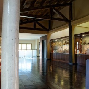 Sala de instrumentos del museo Paco Díez en la provincia de Valladolid